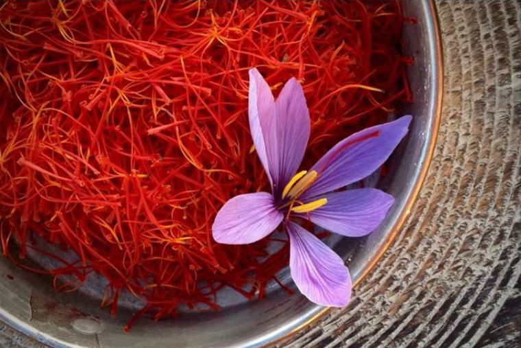 Nhụy hoa nghệ tây có tác dụng gì?