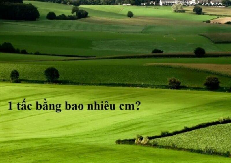1 tac bang bao nhieu cm