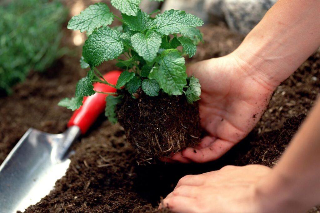 vì sao phải sử dụng đất hợp lý
