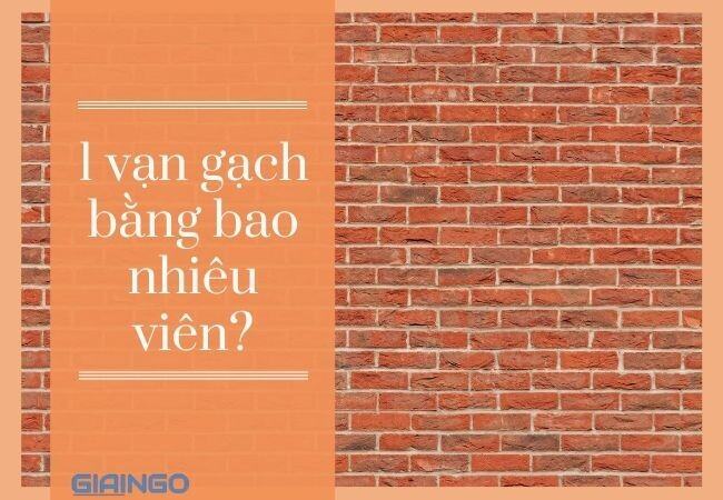 1 vạn gạch bằng bao nhiêu viên