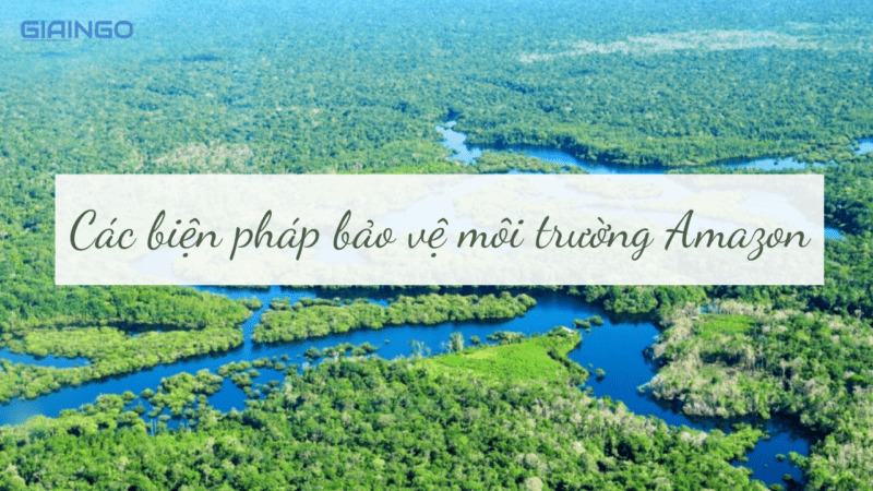 Tại sao phải đặt vấn đề bảo vệ rừng Amazon?