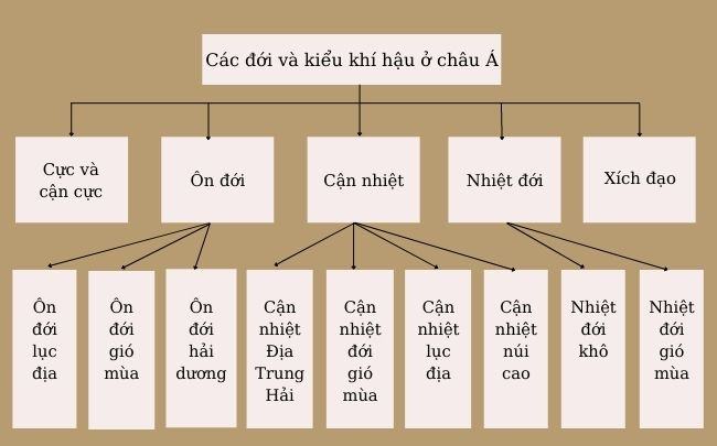 Châu Á có bao nhiêu đới khí hậu? Bài tập trắc nghiệm Địa Lí 8