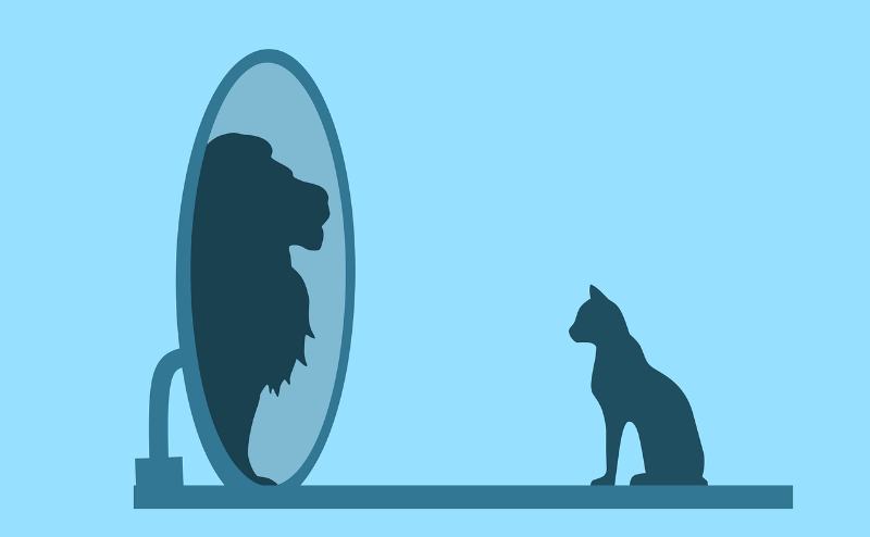 Cái tôi là gì? Cái tôi lớn là tốt hay xấu trong thời đại này?