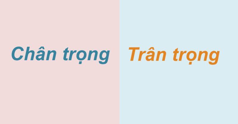 Chân trọng hay trân trọng? Từ nào mới đúng chính tả?