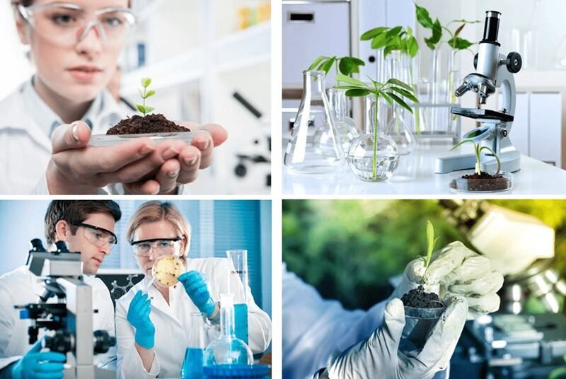 Công nghệ sinh học gồm những lĩnh vực nào?