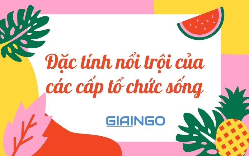Các cấp tổ chức của thế giới sống