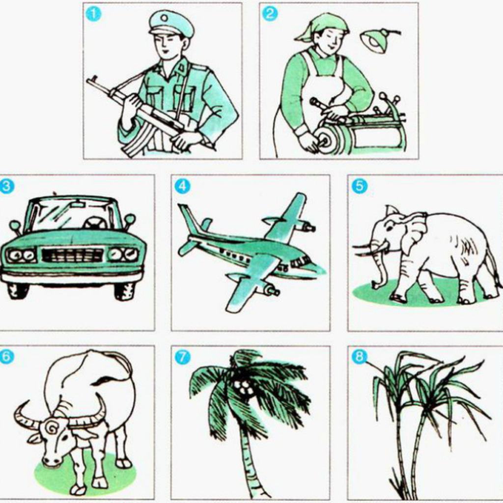 Sự vật là gì?