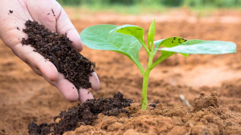 Vì sao phải sử dụng đất hợp lý? Cải tạo và bảo vệ đất