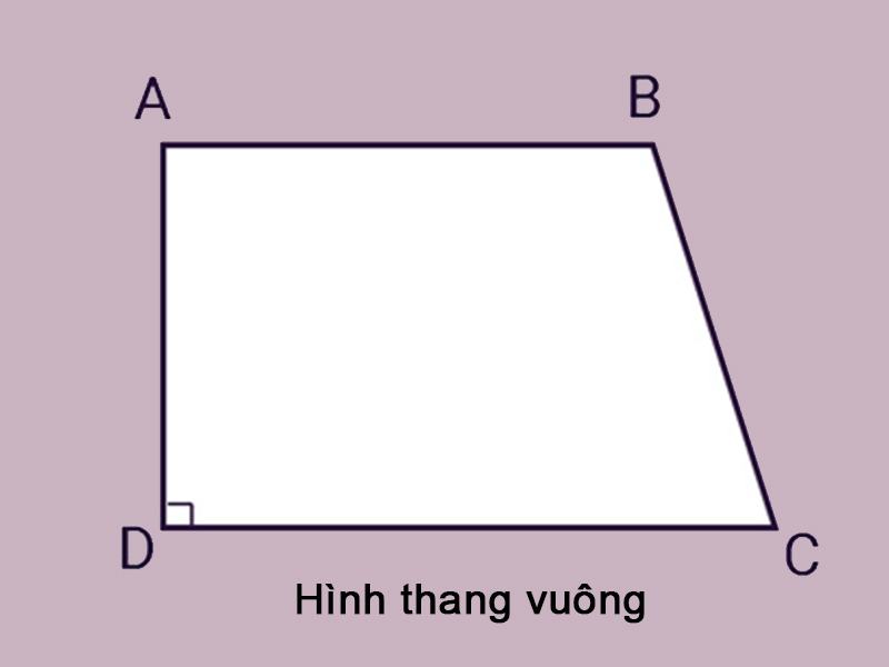 Tính chất hình thang vuông?