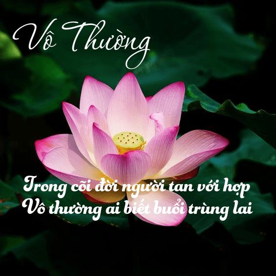 Vô thường là gì? Ý nghĩa luật vô thường trong cuộc sống?