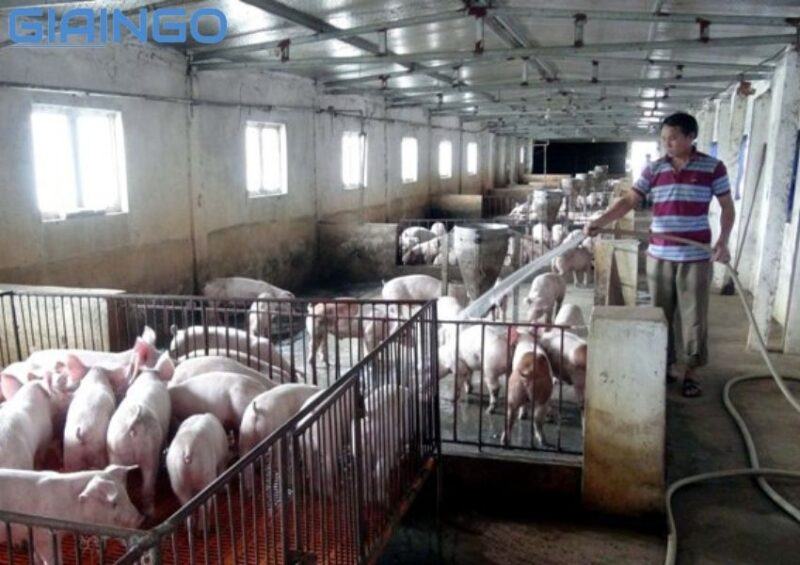 Đồng bằng sông Hồng là vùng dẫn đầu cả nước về tiêu chí nào