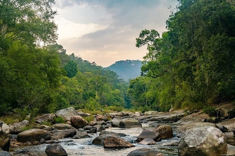 Vườn quốc gia Chư Yang Sin