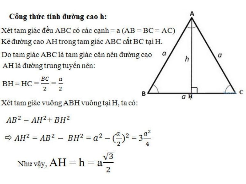 duong cao tam giac deu