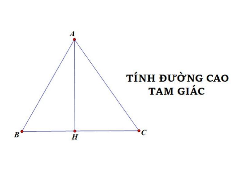 duong cao trong tam giac deu