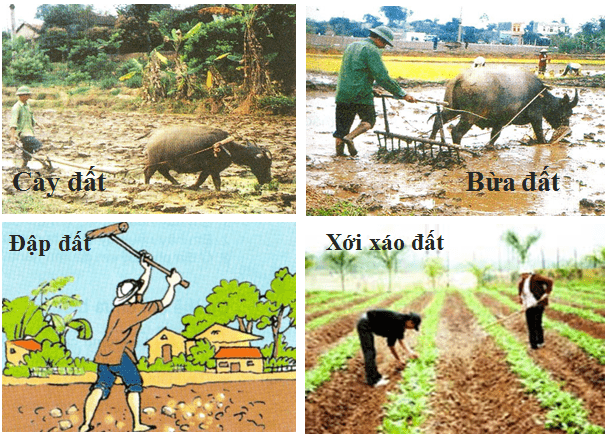 Vì sao ban đêm không nên để nhiều hoa hoặc cây xanh trong phòng ngủ đóng kín cửa? Vì sao ban đêm không nên để nhiều hoa hoặc cây xanh trong phòng ngủ đóng kín cửa?