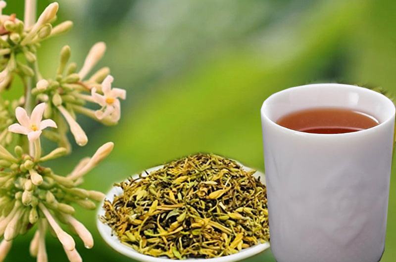 Hoa đu đủ đực có tác dụng gì? 4 bài thuốc thần thánh với hoa đu đủ đực Hoa đu đủ đực có tác dụng gì?