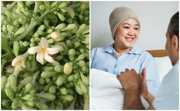 Hoa đu đủ đực có tác dụng gì? 4 bài thuốc thần thánh với hoa đu đủ đực Hoa đu đủ đực có tác dụng gì?