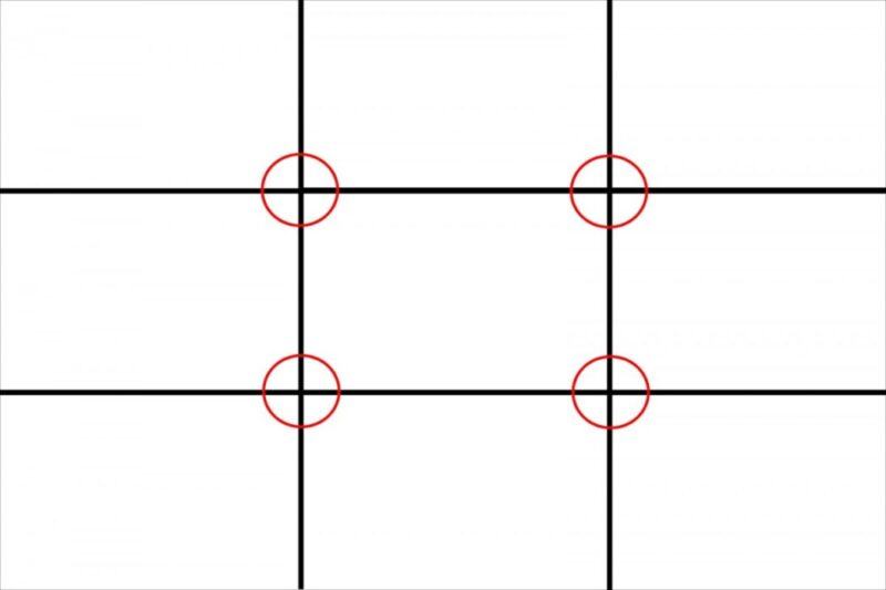 Layout là gì?