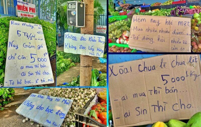 minh rau la ai