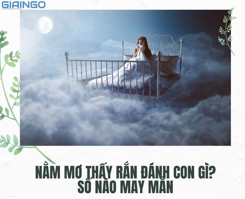 Nằm mơ thấy rắn điềm gì? Giải mã hiện tượng chi tiết nhất nam mo thay ran