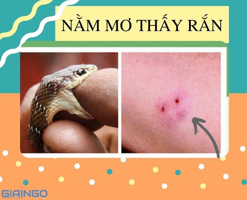 Nằm mơ thấy rắn điềm gì? Giải mã hiện tượng chi tiết nhất Nằm mơ thấy rắn điềm gì? Giải mã hiện tượng chi tiết nhất