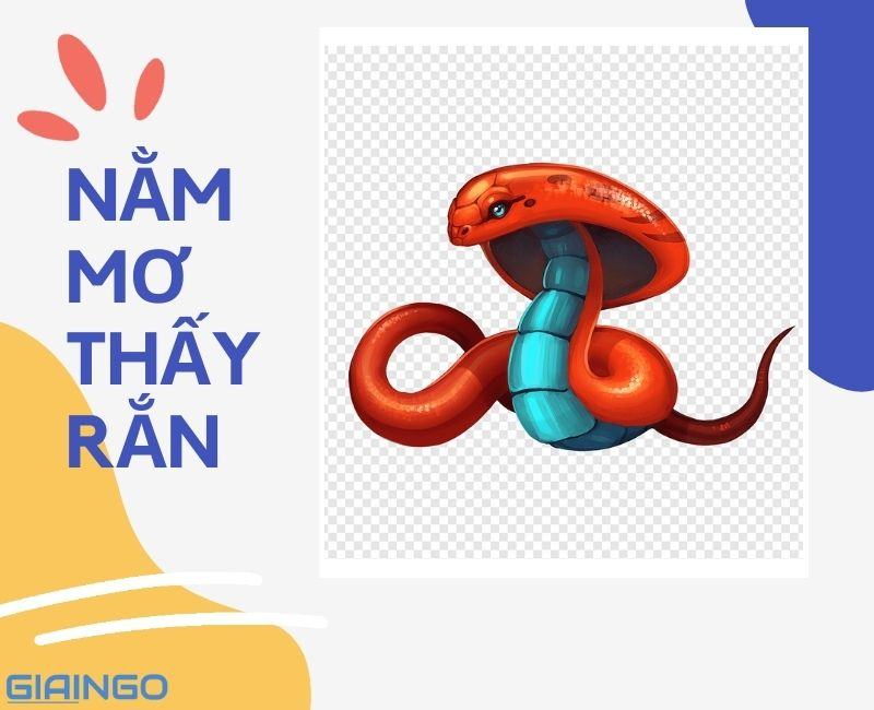 Nằm mơ thấy rắn điềm gì? Giải mã hiện tượng chi tiết nhất nam mo thay ran