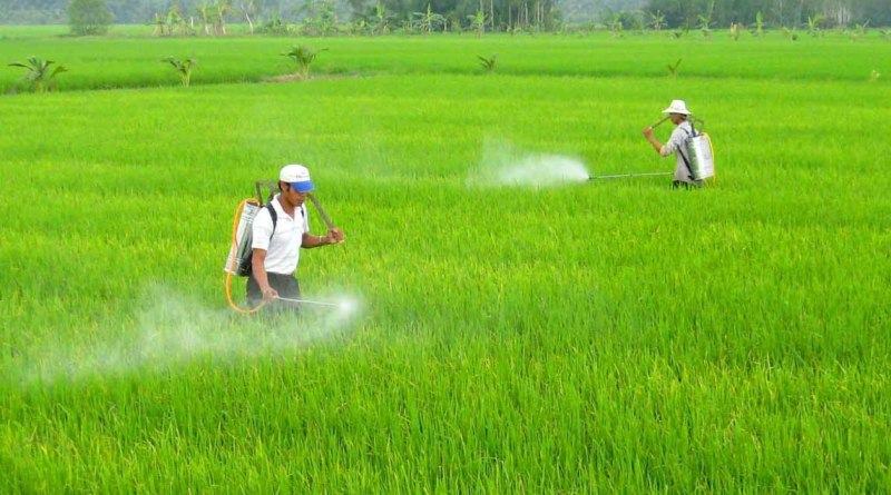 Nguyên nhân gây ô nhiễm đất