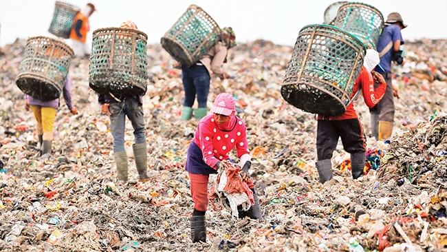 Nguyên nhân gây ô nhiễm đất