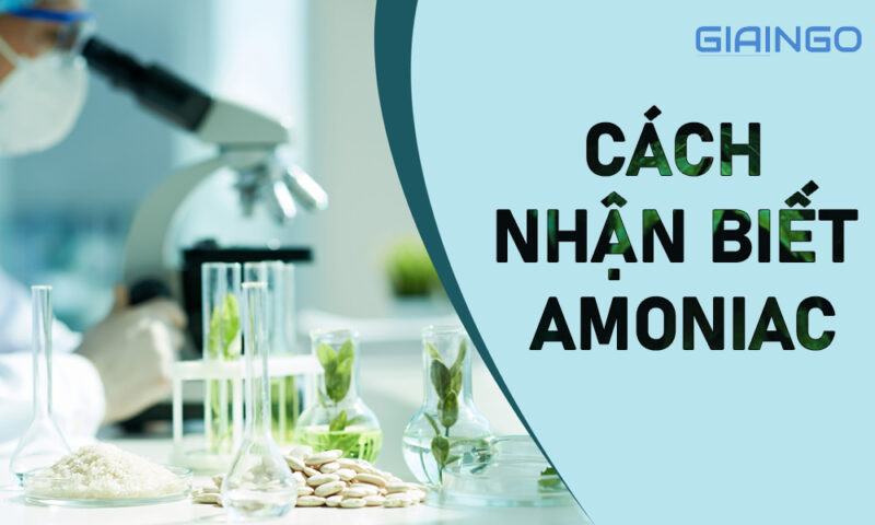 Cách nhận biết Amoniac