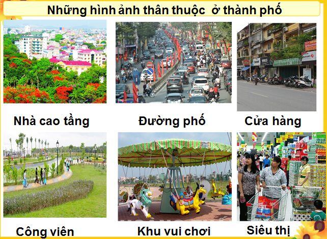 Sự khác nhau giữa quần cư nông thôn và quần cư đô thị