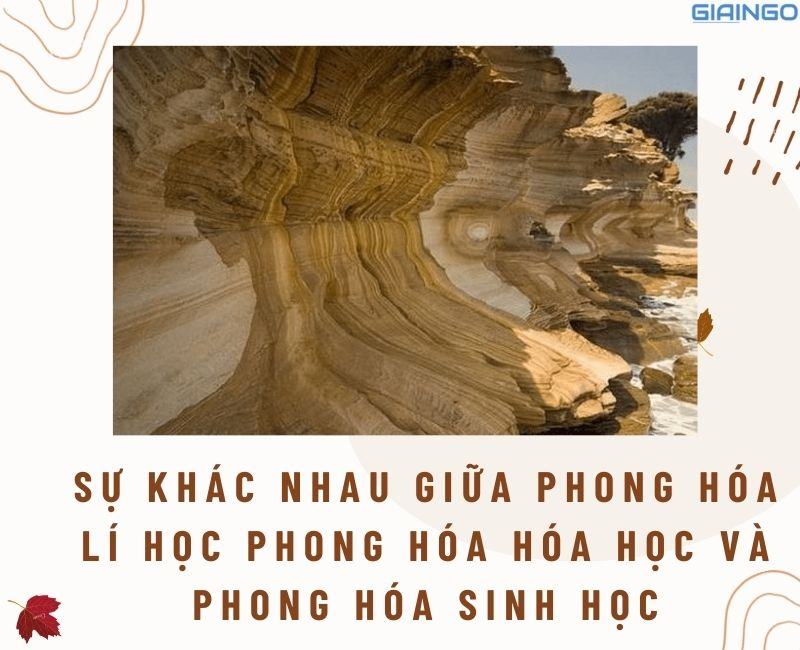 su khac nhau giua phong hoa li hoc phong hoa hoa hoc va phong hoa sinh học