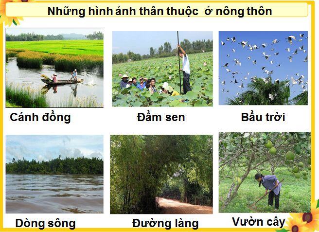 Sự khác nhau giữa quần cư nông thôn và quần cư đô thị