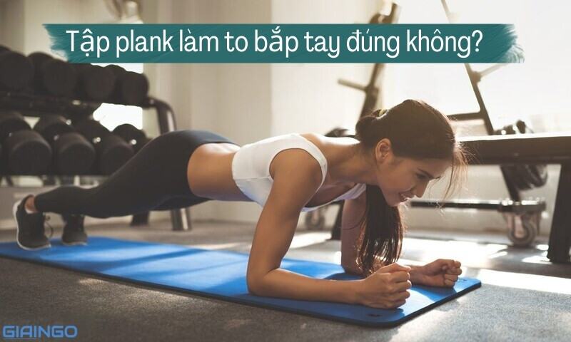 tap-plank-lam-to-bap-tay-dung-khong