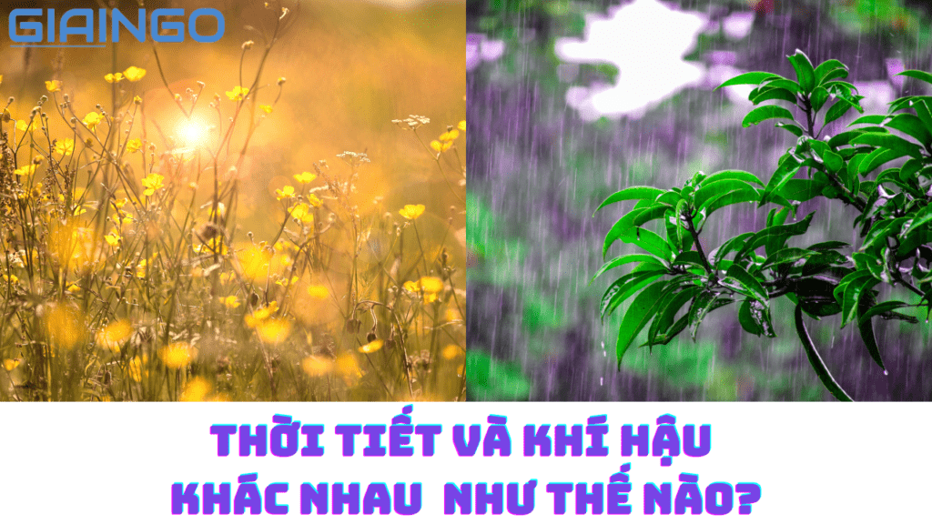 Thời tiết và khí hậu khác nhau như thế nào?