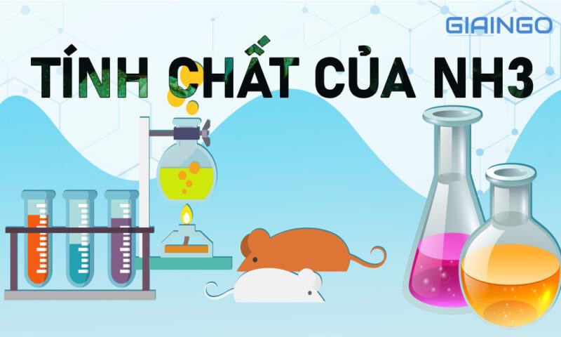 Tính chất của NH3