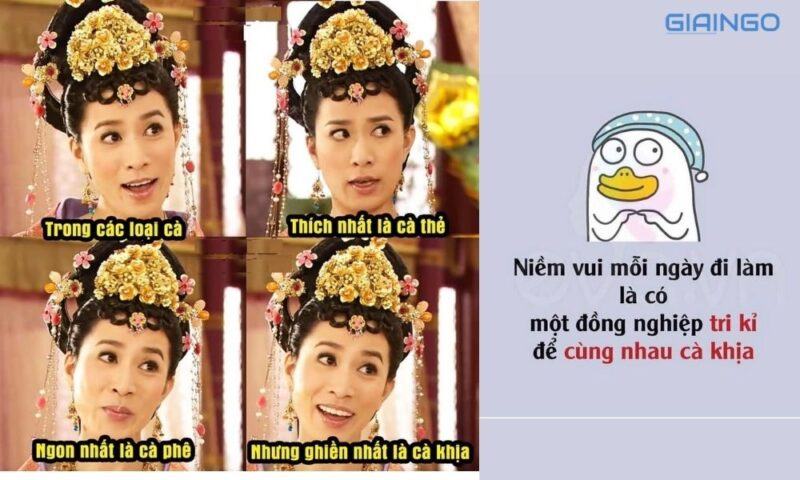 Cà khịa là gì? Tổng hợp những câu cà khịa cực gắt Meme cà khịa