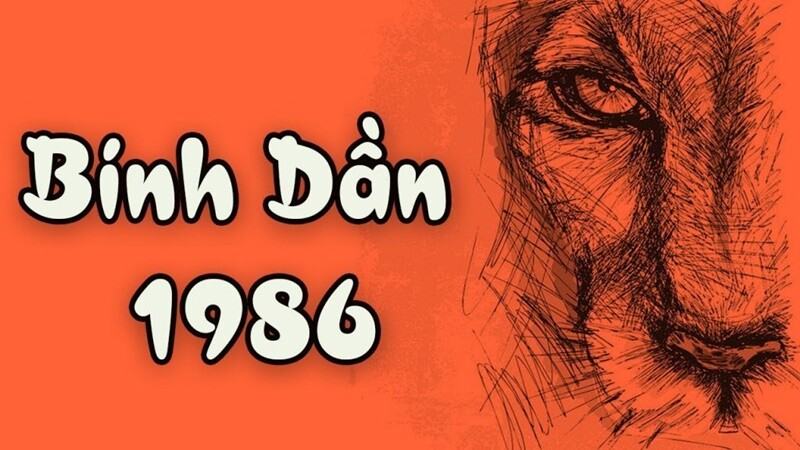 Tuoi Binh Dan hop mau gi?