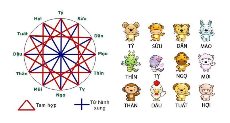 tuoi dan hop voi tuoi nao