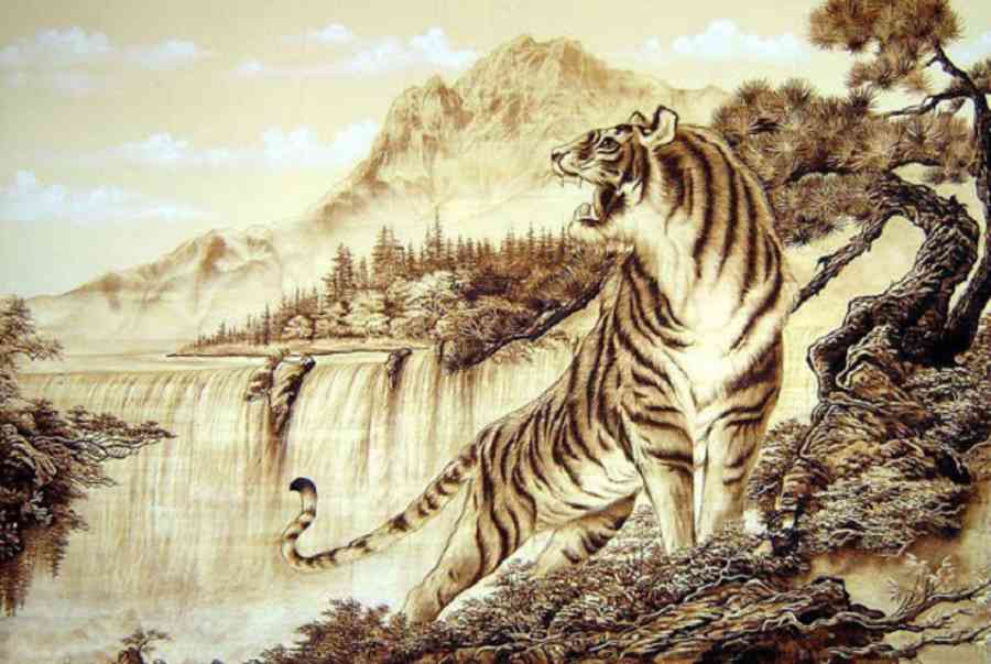 tuoi dan sinh nam bao nhieu