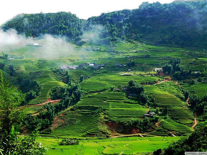 vi sao viec phat trien kinh te, nang cao doi song cac dan toc phai di doi voi bao ve moi truong tu nhien va tai nguyen thien nhien