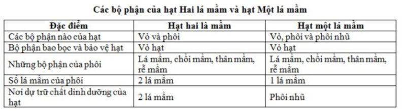 Vì sao người ta chỉ giữ lại làm giống các hạt to chắc mẩy không bị sứt sẹo và không bị sâu bệnh? phan biet hat mot la mam hai la mam