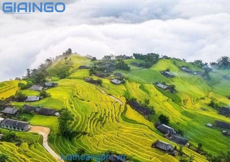 Vùng có mật độ dân số cao nhất nước ta là