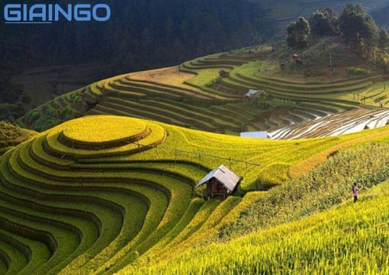 Vùng có mật độ dân số cao nhất nước ta là