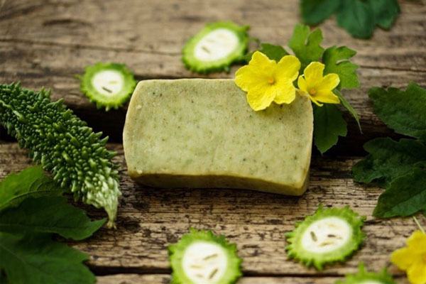 Mướp đắng có tác dụng gì? Ai không nên ăn mướp đắng? Mướp đắng có tác dụng gì?
