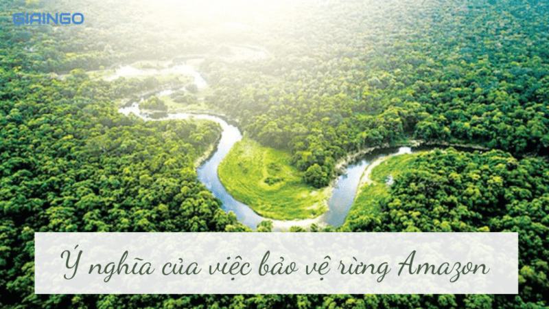Tại sao phải đặt vấn đề bảo vệ rừng Amazon?